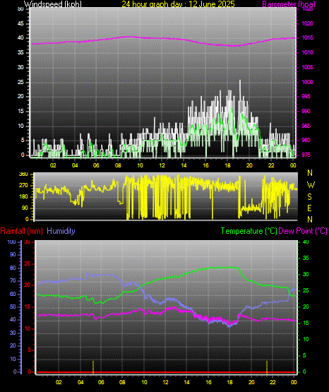 24 Hour Graph for Day 12