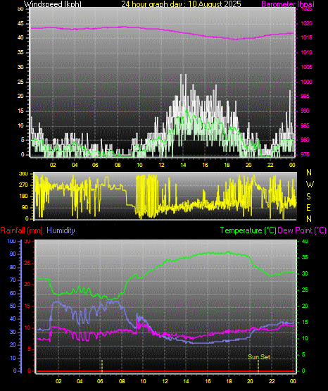 24 Hour Graph for Day 10
