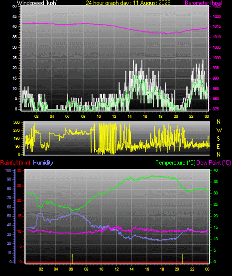 24 Hour Graph for Day 11