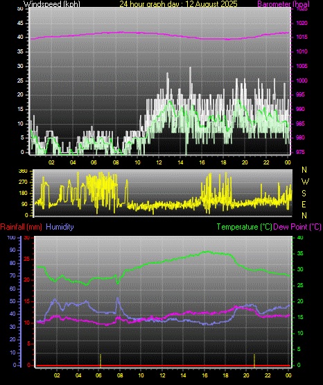 24 Hour Graph for Day 12