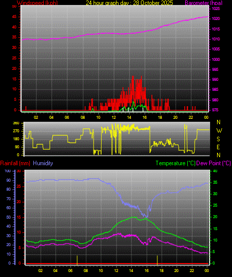 24 Hour Graph for Day 28