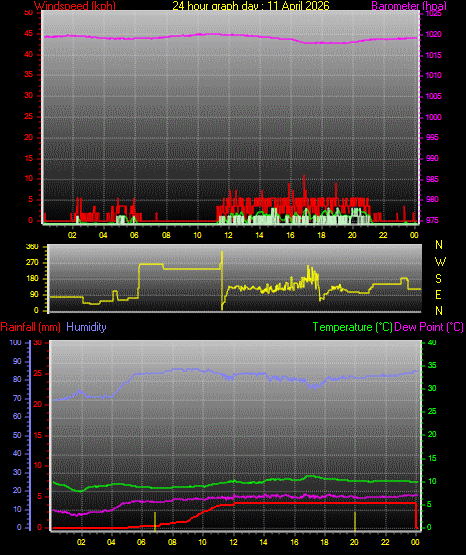 24 Hour Graph for Day 11