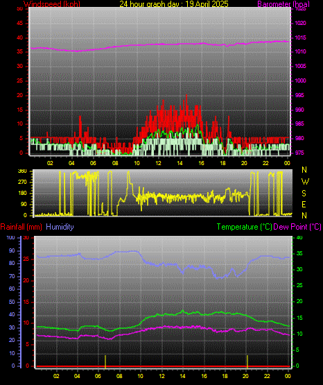 24 Hour Graph for Day 19