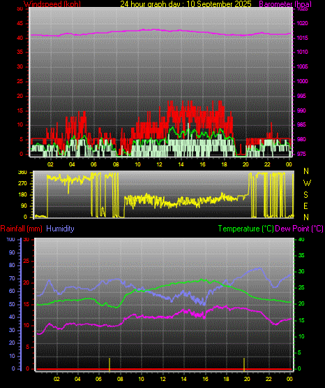 24 Hour Graph for Day 10