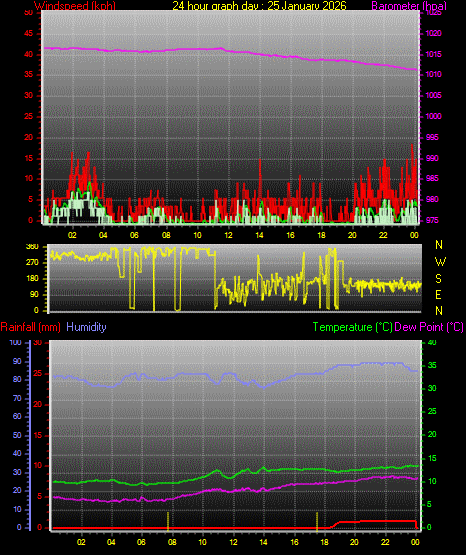 24 Hour Graph for Day 25