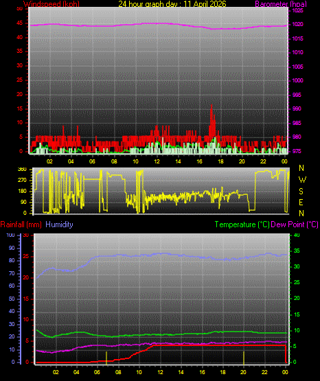 24 Hour Graph for Day 11