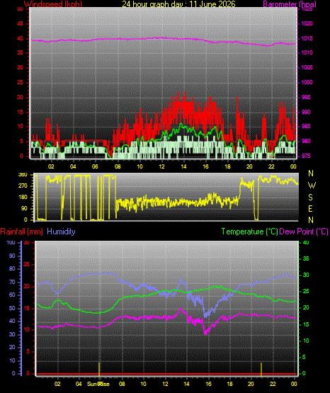 24 Hour Graph for Day 11