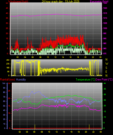 24 Hour Graph for Day 19