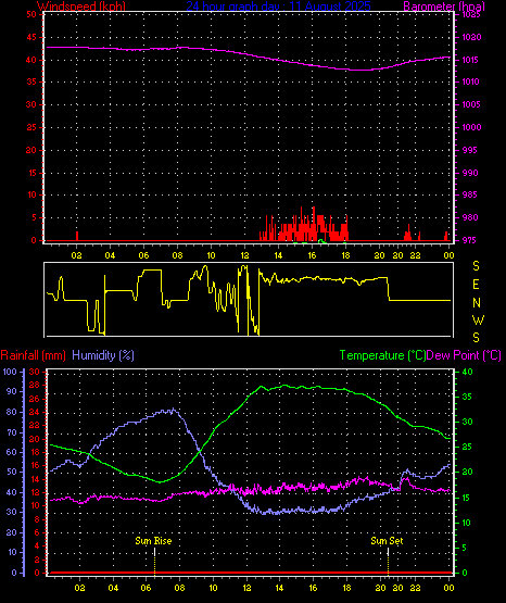 24 Hour Graph for Day 11