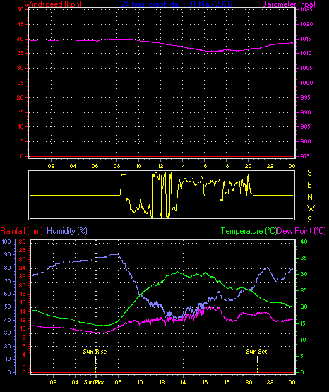 24 Hour Graph for Day 31