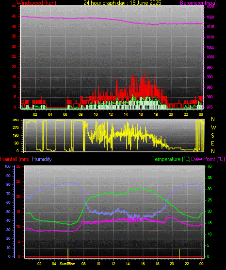 24 Hour Graph for Day 19
