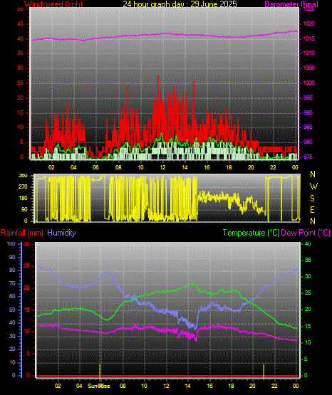 24 Hour Graph for Day 29