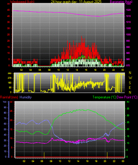 24 Hour Graph for Day 11