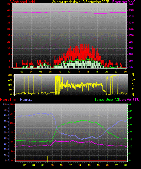 24 Hour Graph for Day 10