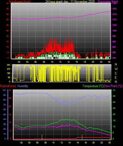 24 Hour Graph for Day 11