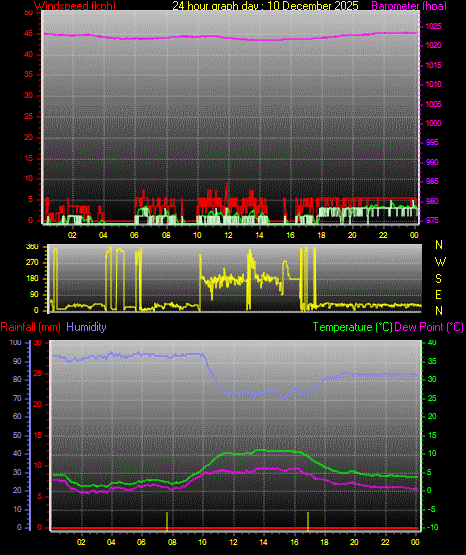 24 Hour Graph for Day 10