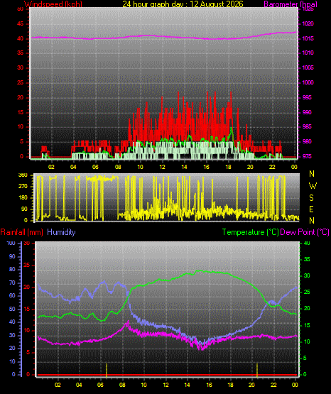 24 Hour Graph for Day 12