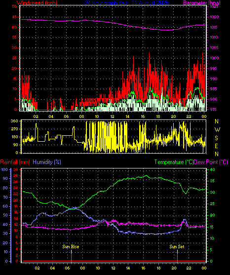 24 Hour Graph for Day 11