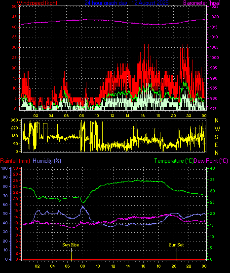 24 Hour Graph for Day 12