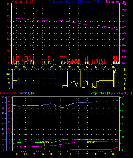 24 Hour Graph for Day 11