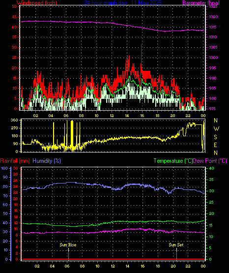 24 Hour Graph for Day 11