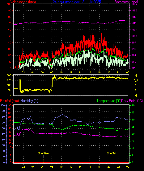 24 Hour Graph for Day 31