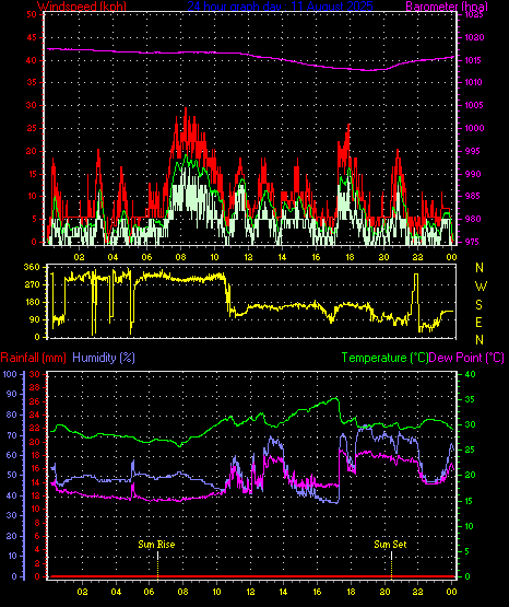 24 Hour Graph for Day 11