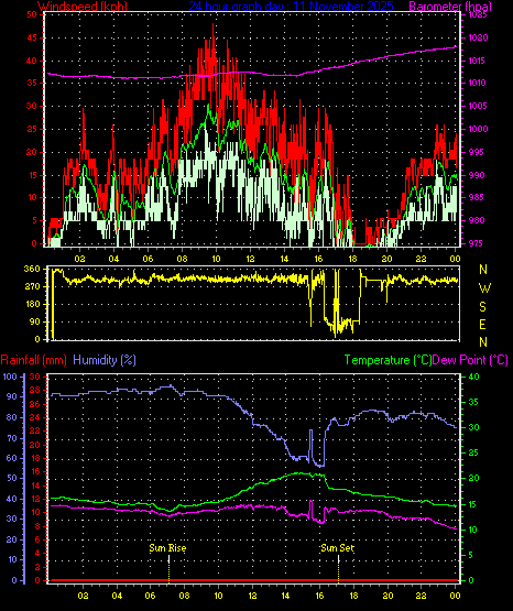 24 Hour Graph for Day 11