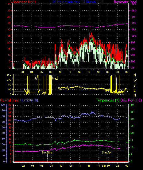 24 Hour Graph for Day 31