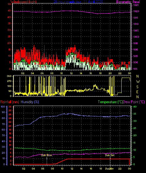 24 Hour Graph for Day 11