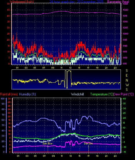 24 Hour Graph for Day 29