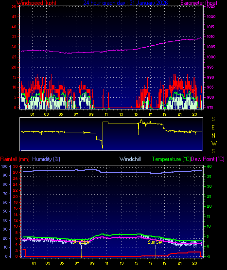 24 Hour Graph for Day 31
