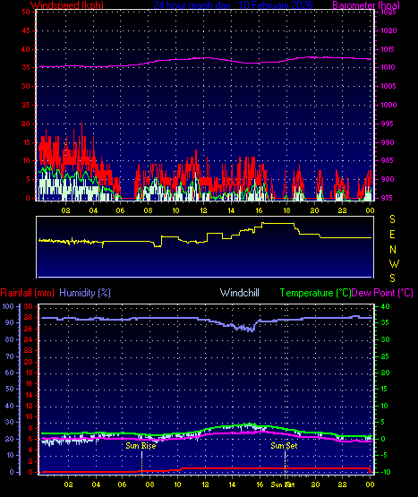24 Hour Graph for Day 10