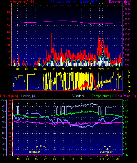 24 Hour Graph for Day 10