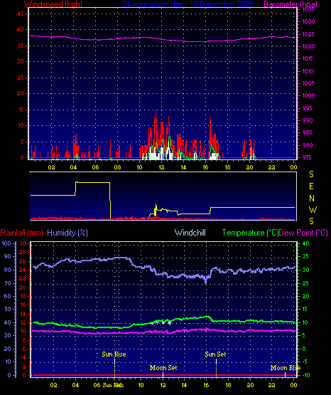 24 Hour Graph for Day 10