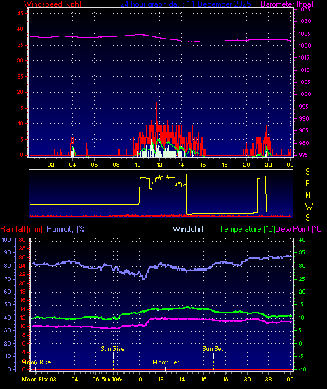 24 Hour Graph for Day 11