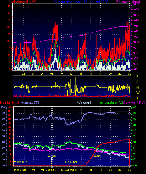 24 Hour Graph for Day 11