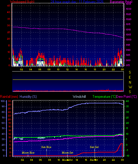 24 Hour Graph for Day 11