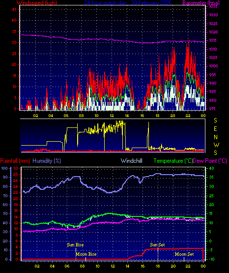 24 Hour Graph for Day 20