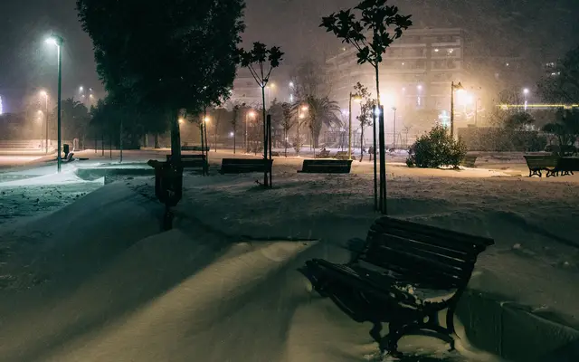 Νυχτερινή χιονόπτωση σε πάρκο της πόλης