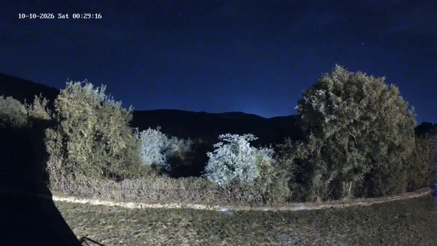 Λυκόστομο - Σάββατο 10 Οκτωβρίου